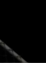 Guest_bianelli