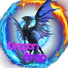 DragonShop