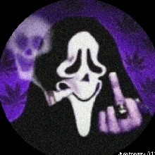 Guest_sofia12456XD