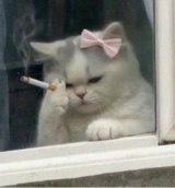 okiv