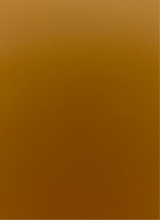Guest_mir588630