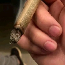 Guest_camiloxd777