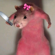 Guest_Zuzqa05