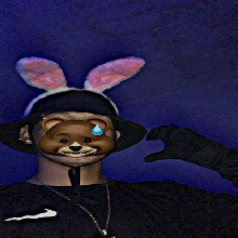 Guest_Vava711552