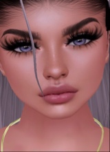 Guest_Noor757522