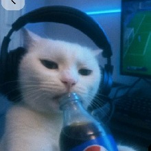 Guest_Tecate00