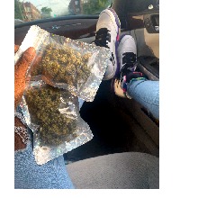 Guest_NicoleBanks18