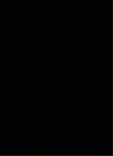 Guest_tansodiuma41c