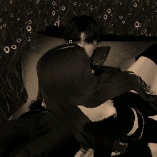 Guest_Antonio367109