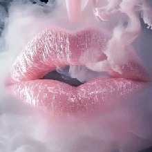 Guest_Dior529639