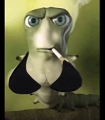 OriginalTulipCarter