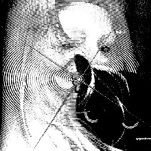 Guest_miramununtrium465f