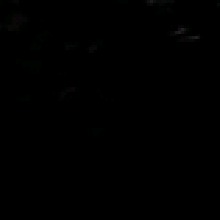 Guest_Jacak