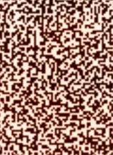 Guest_anaya696544