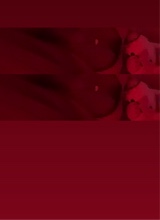 Guest_rulamf