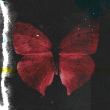 Guest_clxrsxa