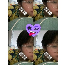 Guest_Han311