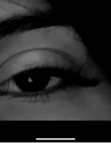 Guest_layla16147