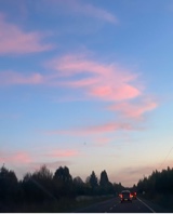 Guest_EmiliaTrivio1
