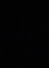 Guest_Pauline112