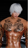 Guest_Steven522140