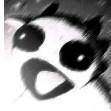 Guest_Guaju