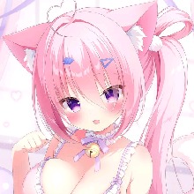 NepHeart32