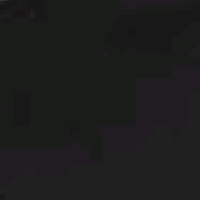 Guest_BielznTrem