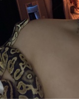 Guest_ianna10