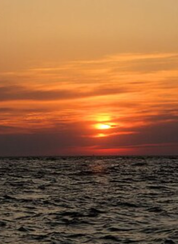 Guest_Siya606658