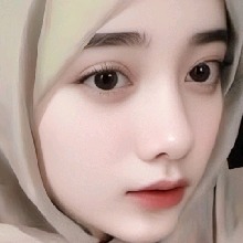 Guest_bee173273