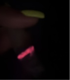 layrehnawilliams