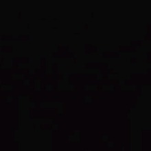 Guest_Jaoshawxzty
