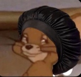 Guest_Ashley883139