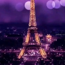 Guest_Lesly4627