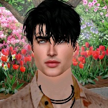 Guest_Sergio477589