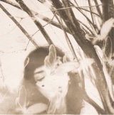 صورة الـavatar