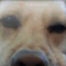 Guest_CjtheDBZdude123
