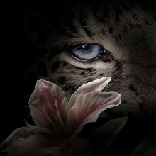 Guest_Sher789701