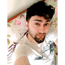 Guest_Harris563707