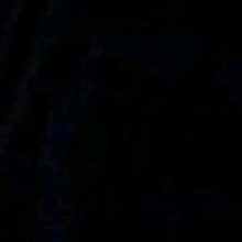 Guest_KatelynVasquez