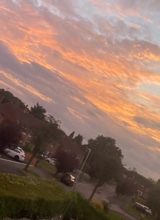 Guest_AbbieMae4