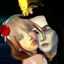 Guest_Dani250702