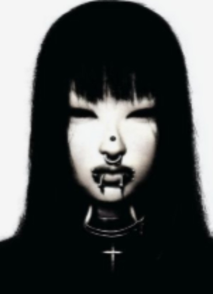 avatar-billede