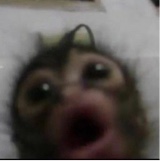 Guest_aubreeluvs