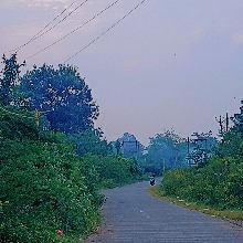Guest_narrowtractorredd82b
