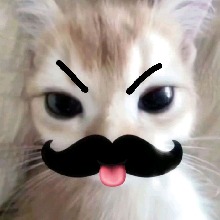 Guest_Pame69