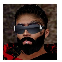 vFENIXv
