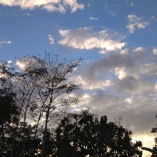 Guest_Aylacamargo1