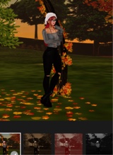 Guest_Iredecent232